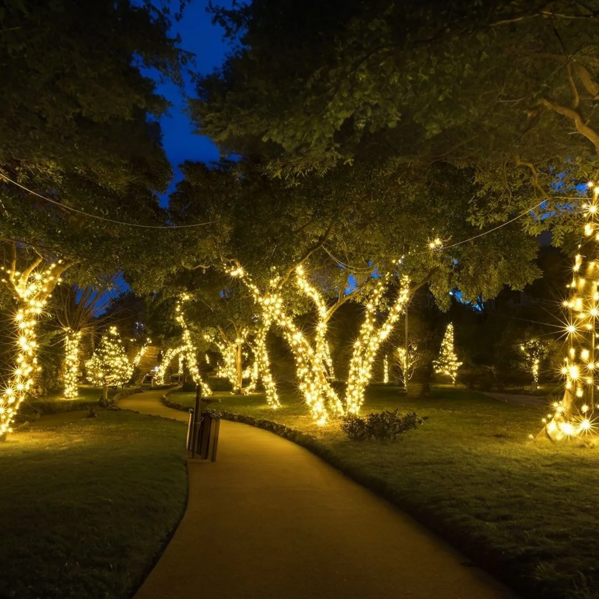 Outdoor Solar Fairy Lights Weatherproof LED for Garden & Events