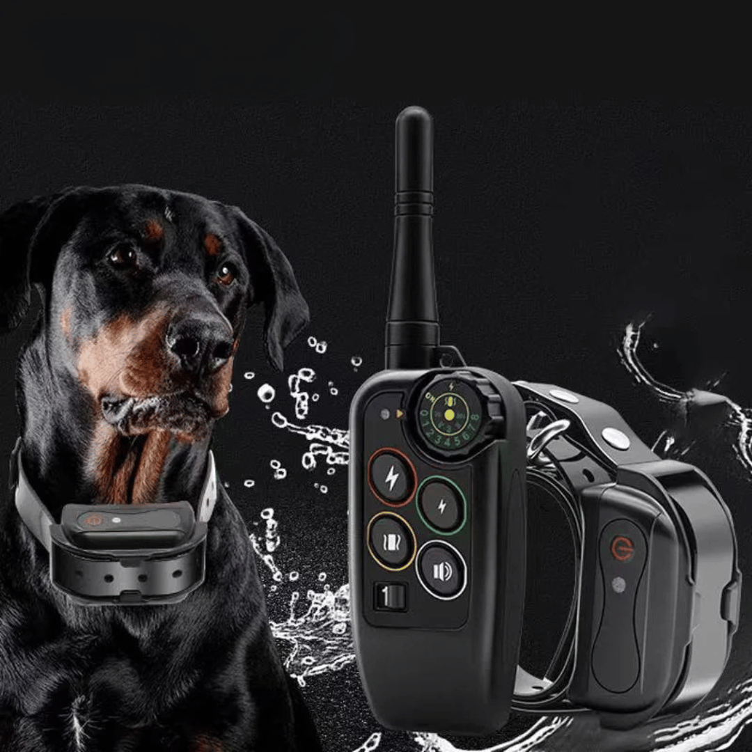 Waterproof Dog Training Collar and Shock with Remote Control and E-Collar Receiver E