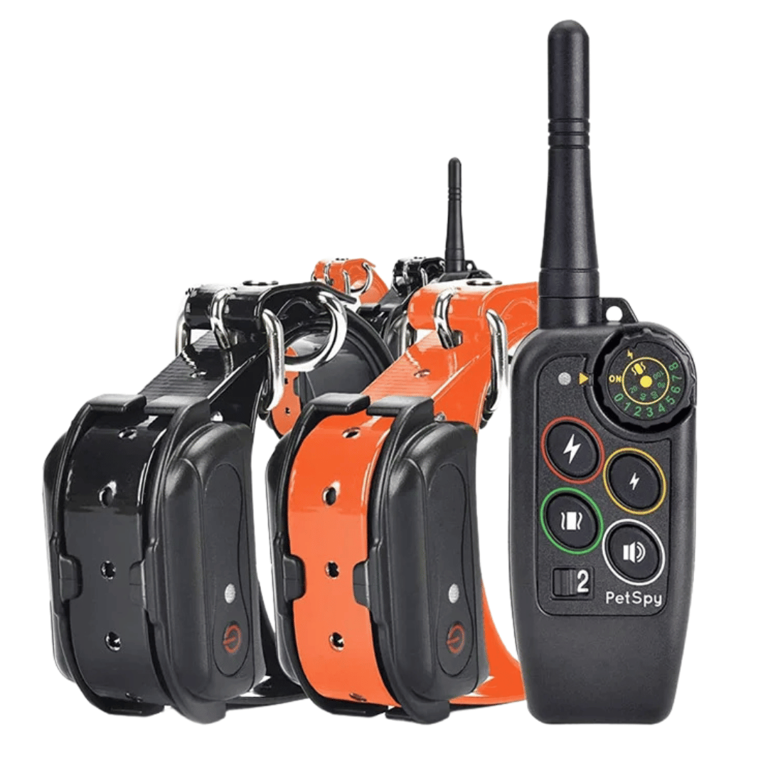 Waterproof Dog Training Collar and Shock with Remote Control and E-Collar Receiver E