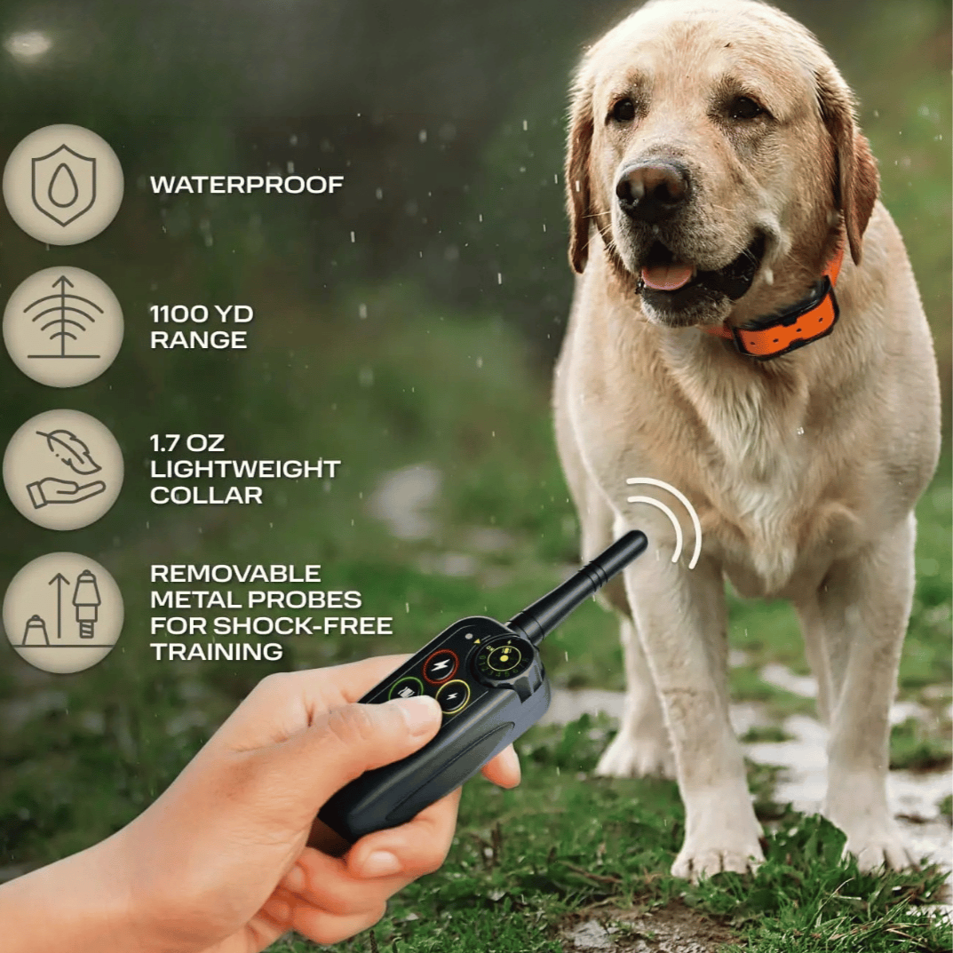 Waterproof Dog Training Collar and Shock with Remote Control and E-Collar Receiver E